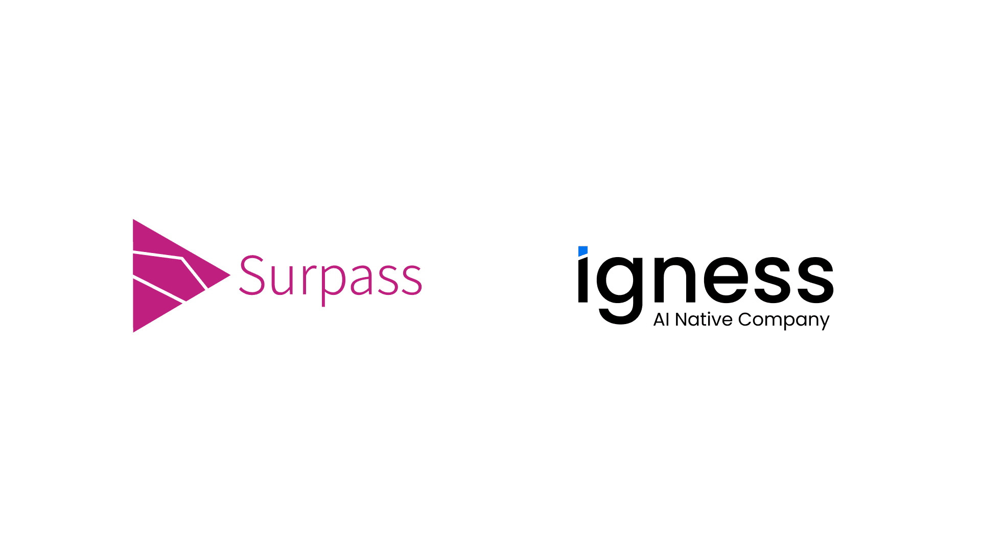 Surpass Dramatically Improves System-Building Productivity with Igness's "Blaze" and Salesforce